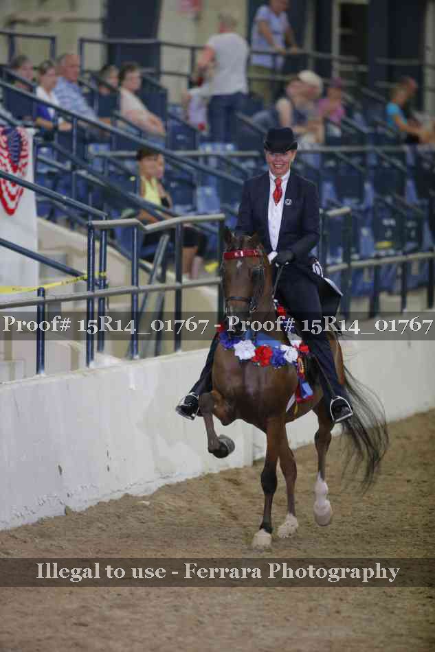 Proof Number 15R14_01767