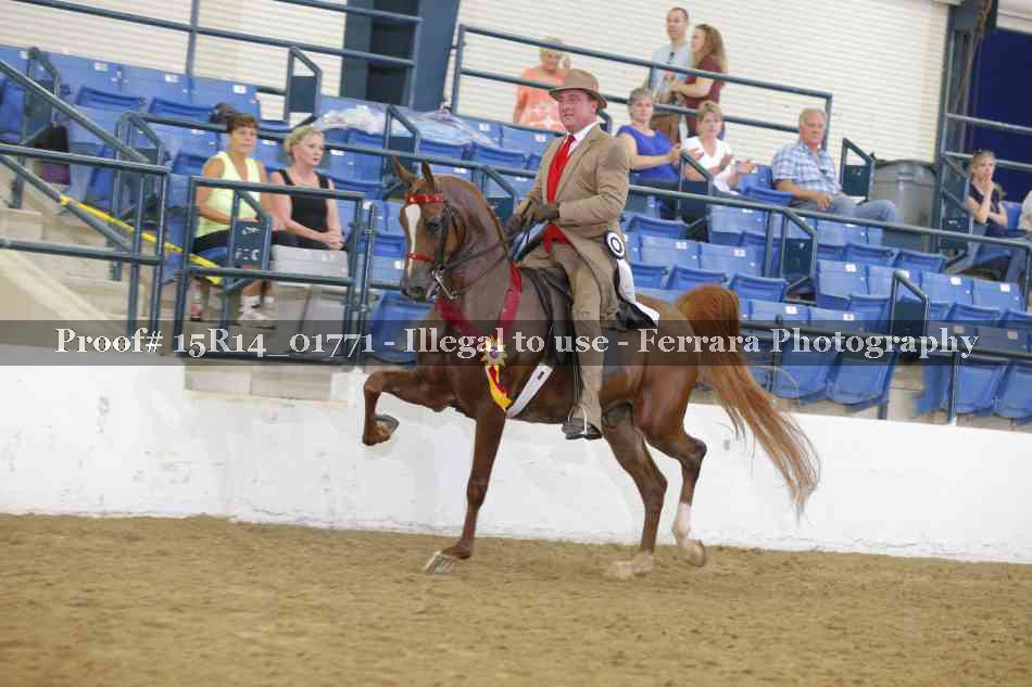 Proof Number 15R14_01771