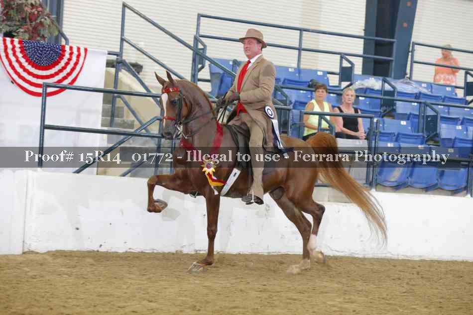 Proof Number 15R14_01772