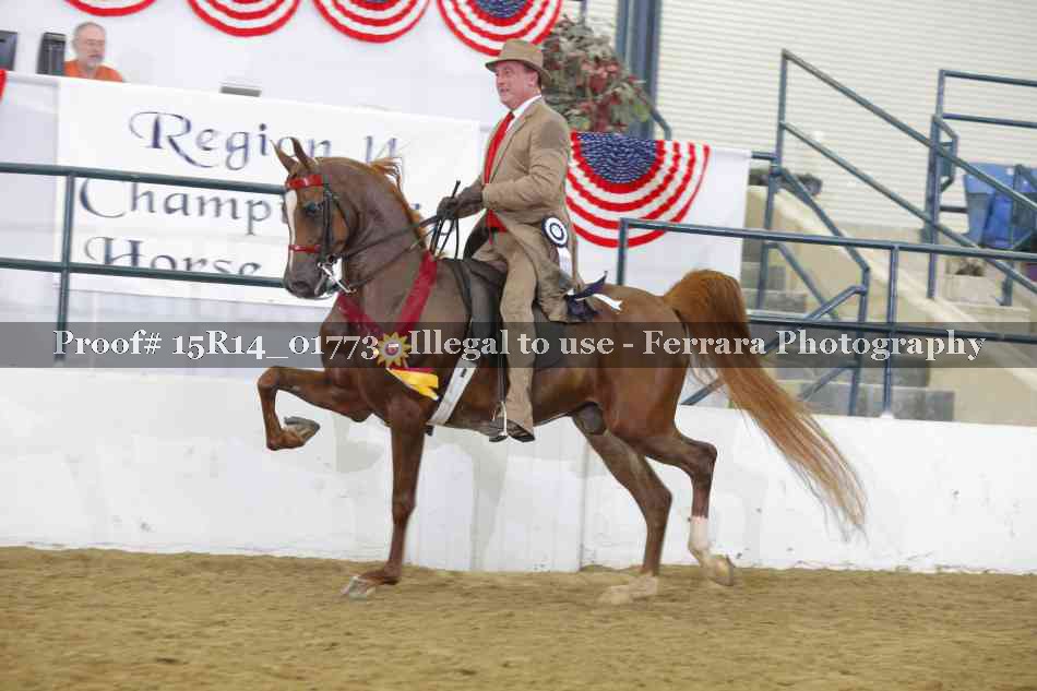 Proof Number 15R14_01773