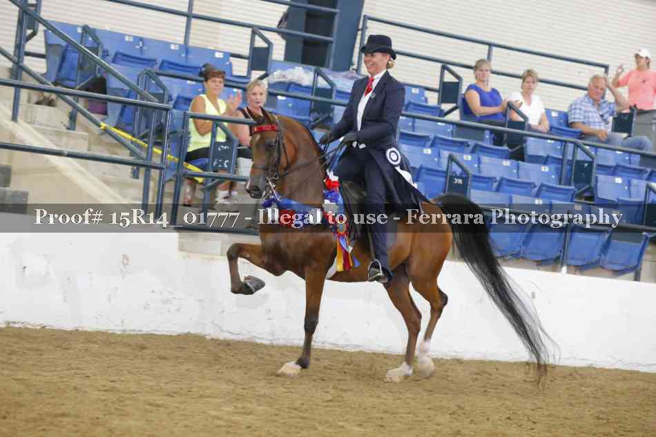 Proof Number 15R14_01777
