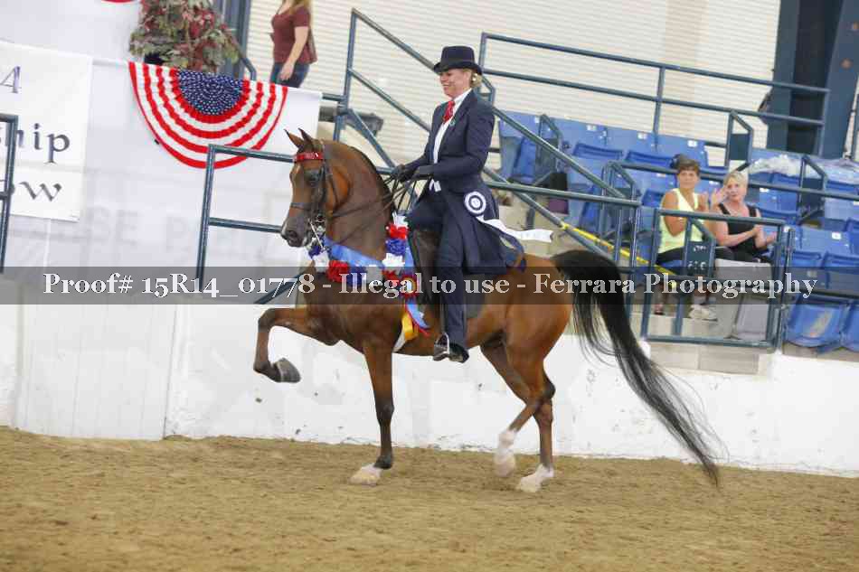 Proof Number 15R14_01778