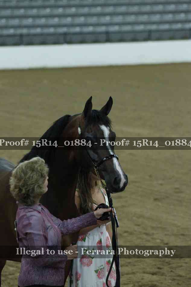 Proof Number 15R14_01884