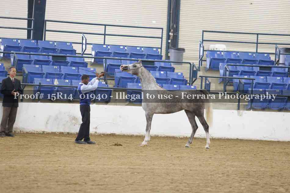 Proof Number 15R14_01940