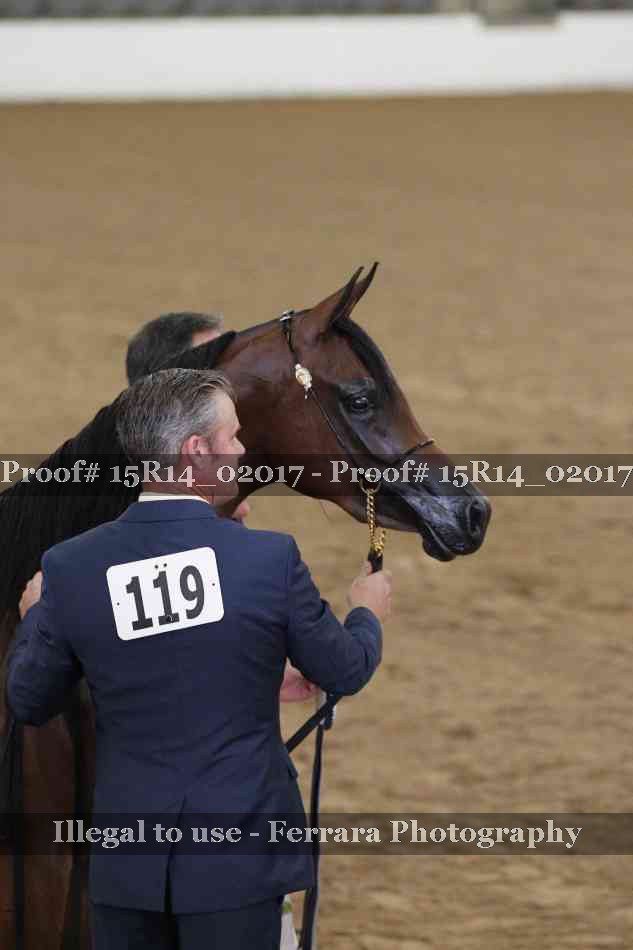 Proof Number 15R14_02017