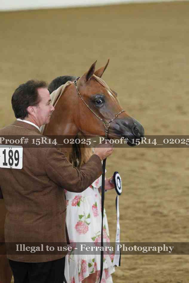 Proof Number 15R14_02025