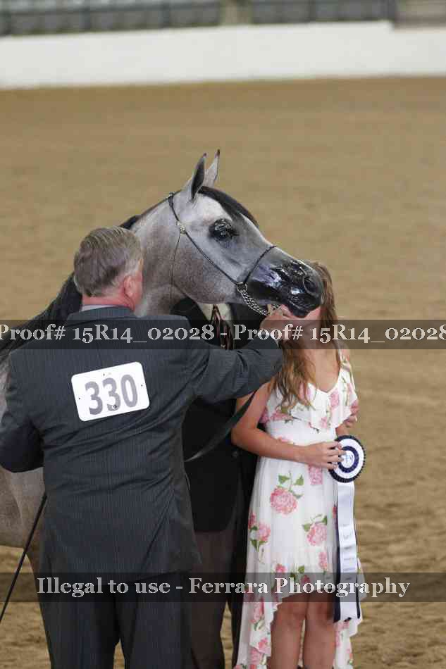 Proof Number 15R14_02028