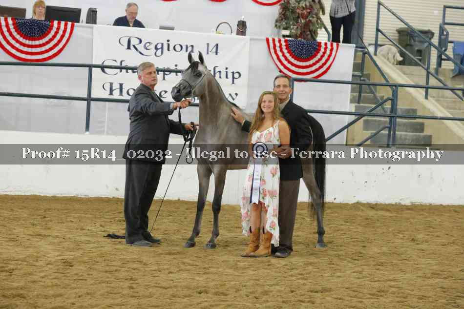 Proof Number 15R14_02032