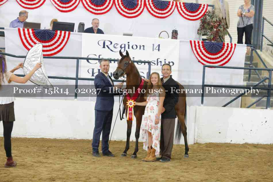 Proof Number 15R14_02037