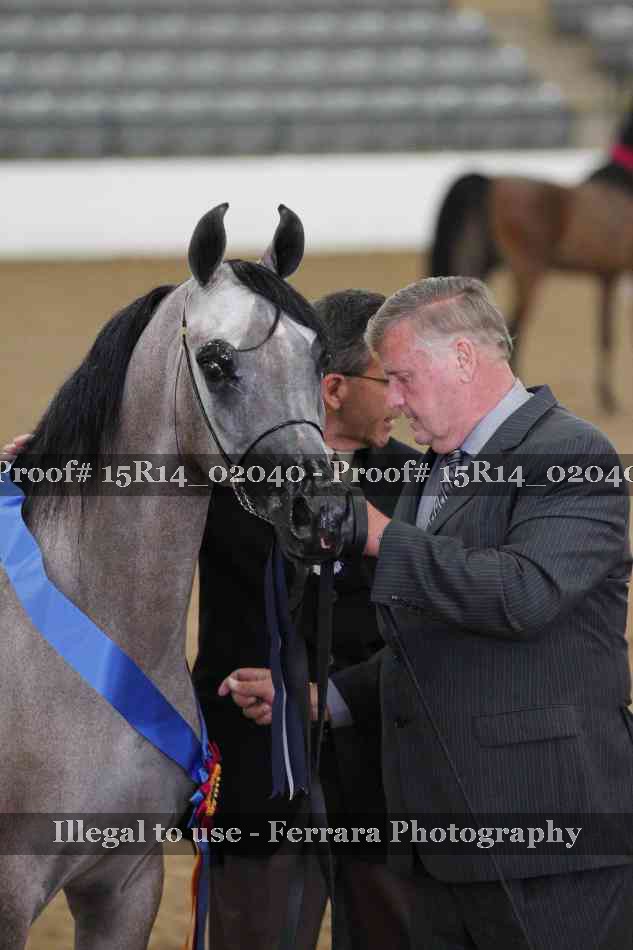 Proof Number 15R14_02040