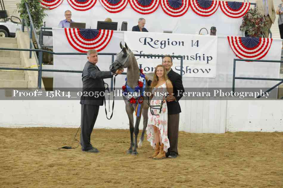 Proof Number 15R14_02050