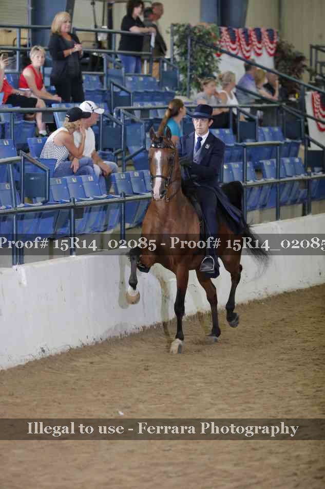 Proof Number 15R14_02085