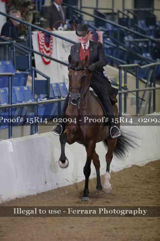 Proof Number 15R14_02094