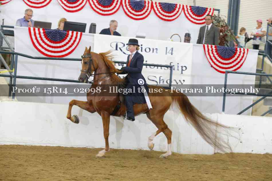 Proof Number 15R14_02098