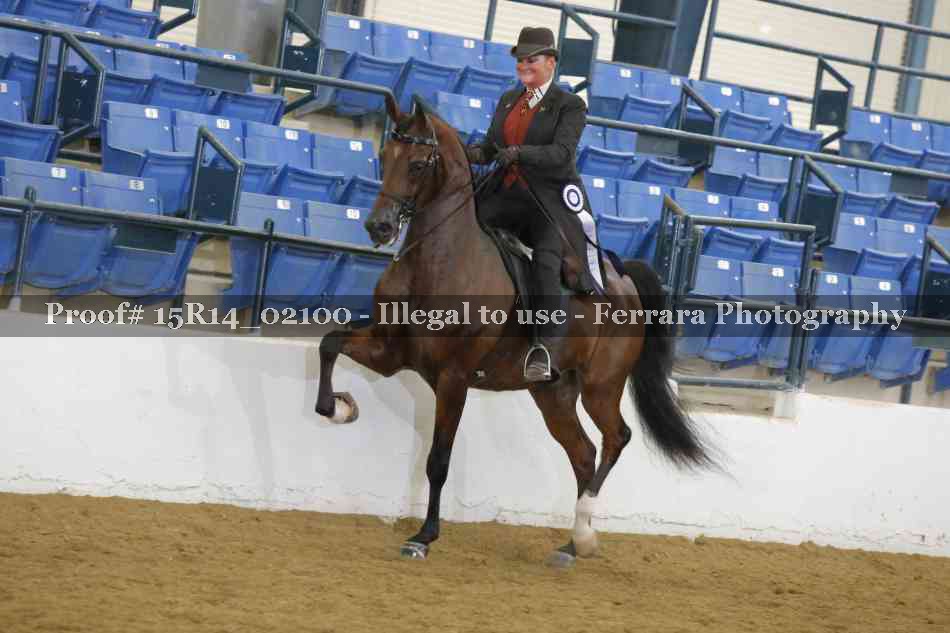 Proof Number 15R14_02100
