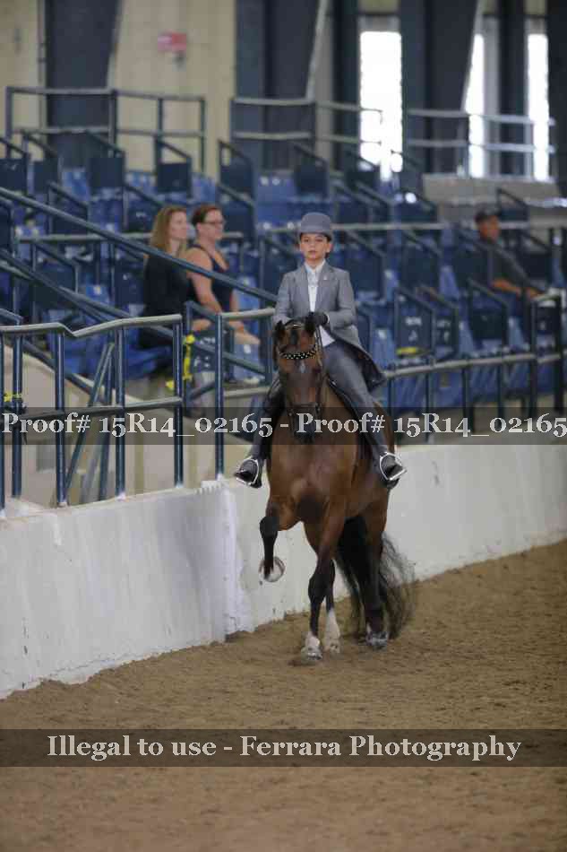 Proof Number 15R14_02165