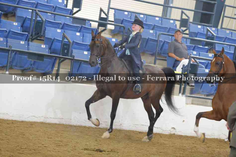 Proof Number 15R14_02172