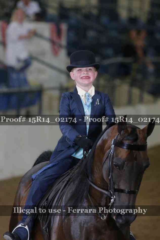 Proof Number 15R14_02174