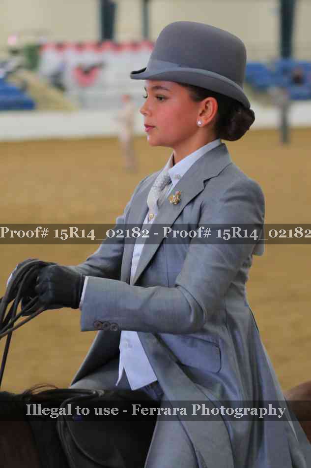 Proof Number 15R14_02182