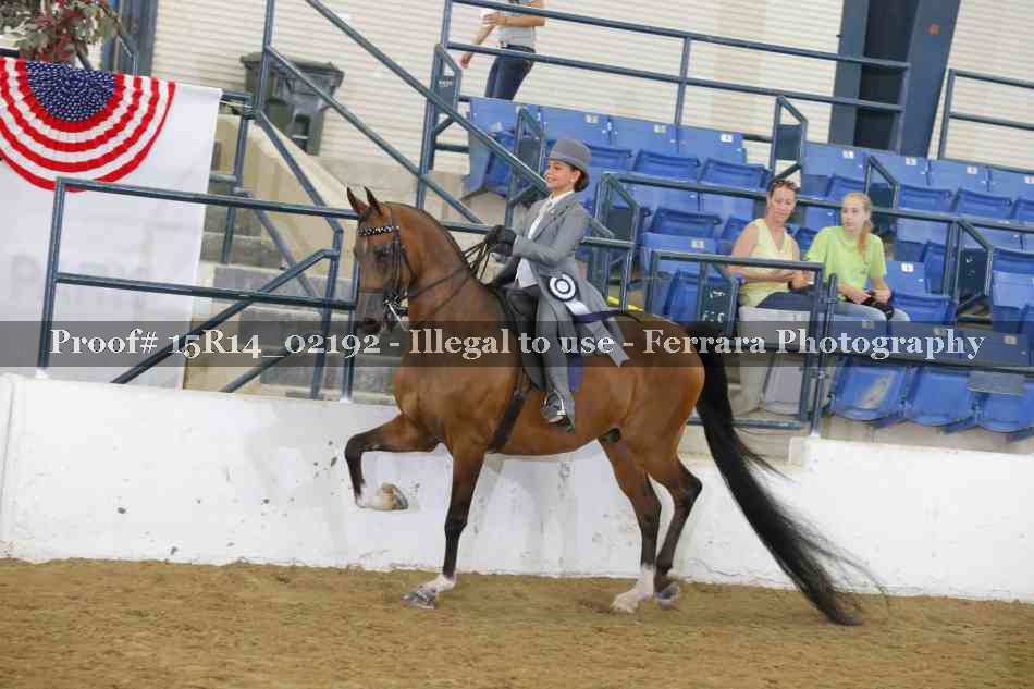 Proof Number 15R14_02192