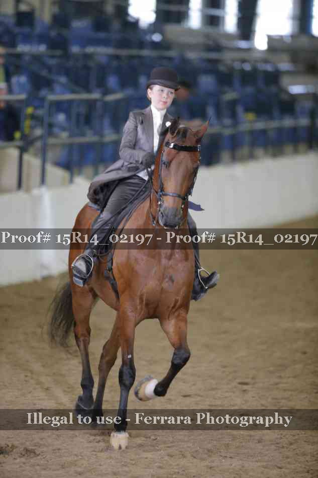 Proof Number 15R14_02197