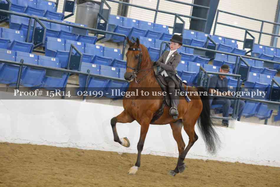 Proof Number 15R14_02199