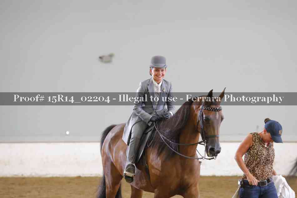 Proof Number 15R14_02204
