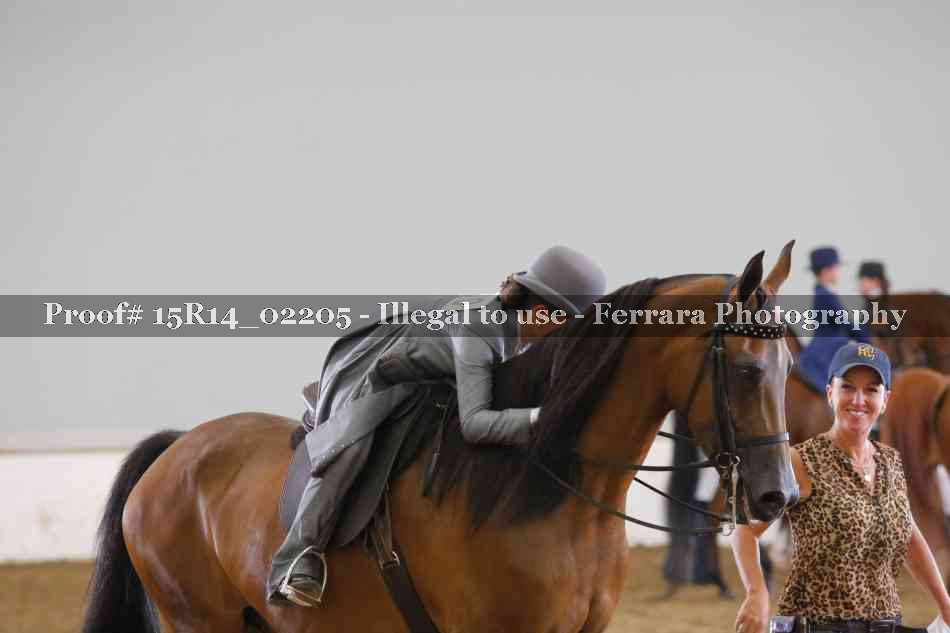 Proof Number 15R14_02205