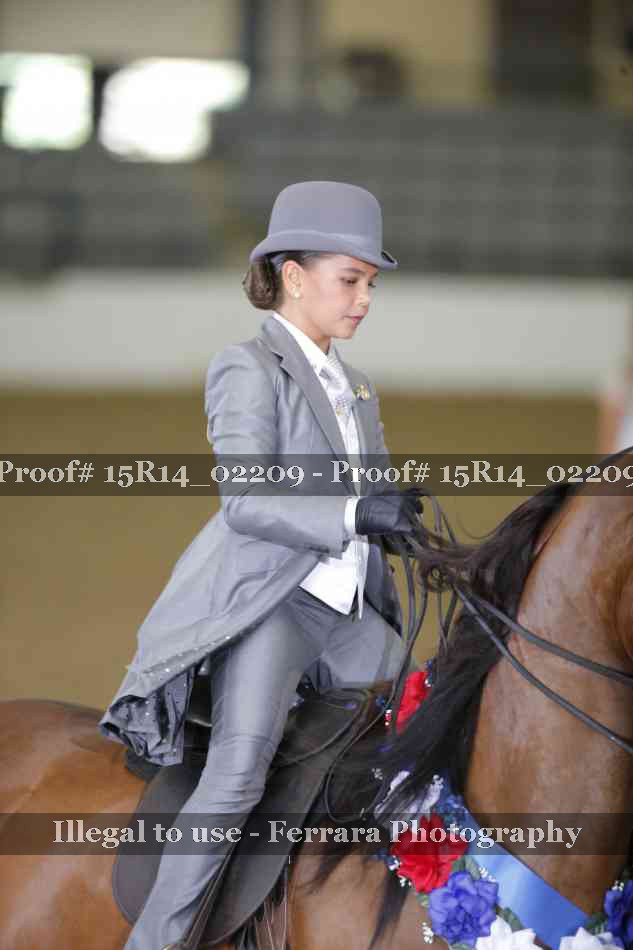 Proof Number 15R14_02209
