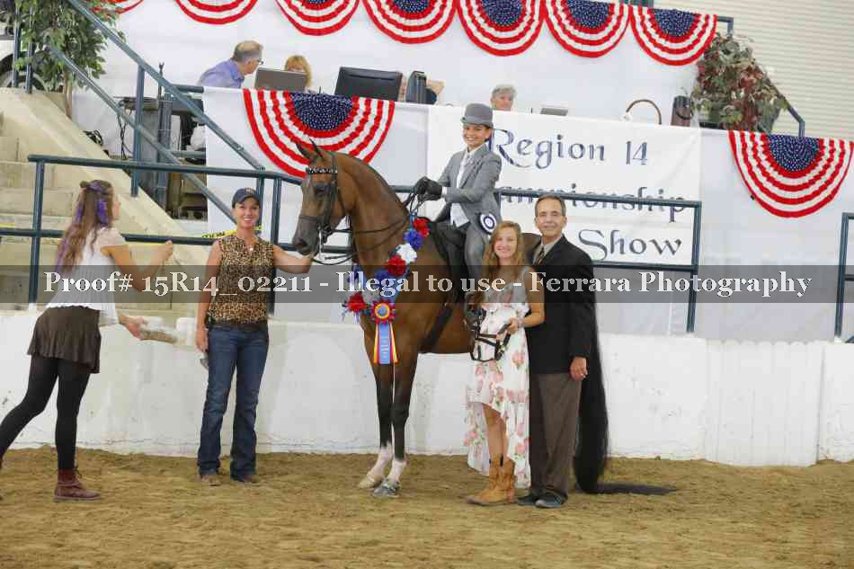 Proof Number 15R14_02211