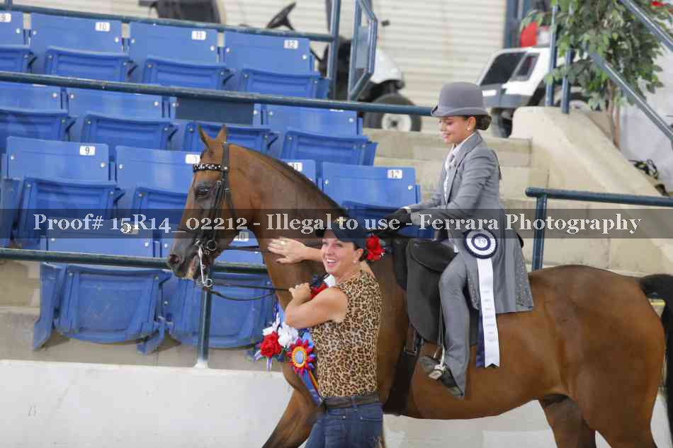 Proof Number 15R14_02212