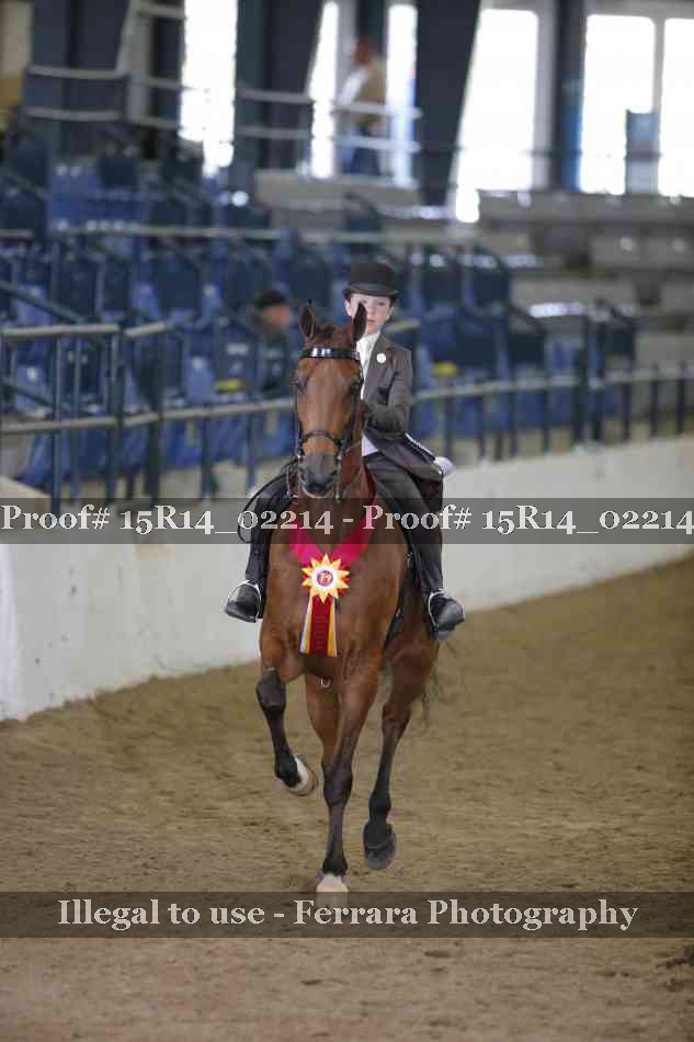 Proof Number 15R14_02214