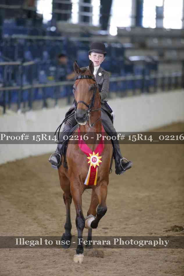 Proof Number 15R14_02216
