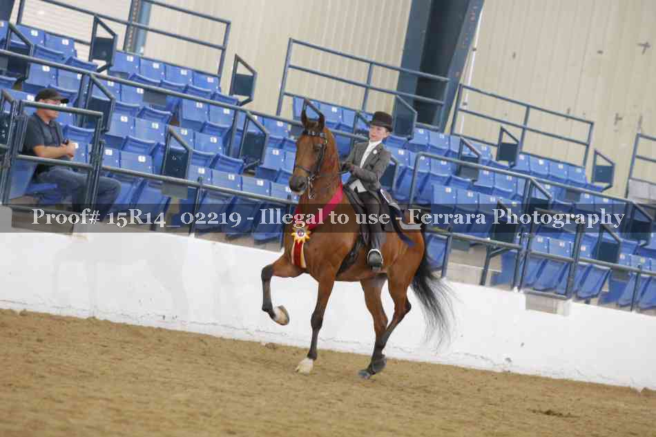Proof Number 15R14_02219