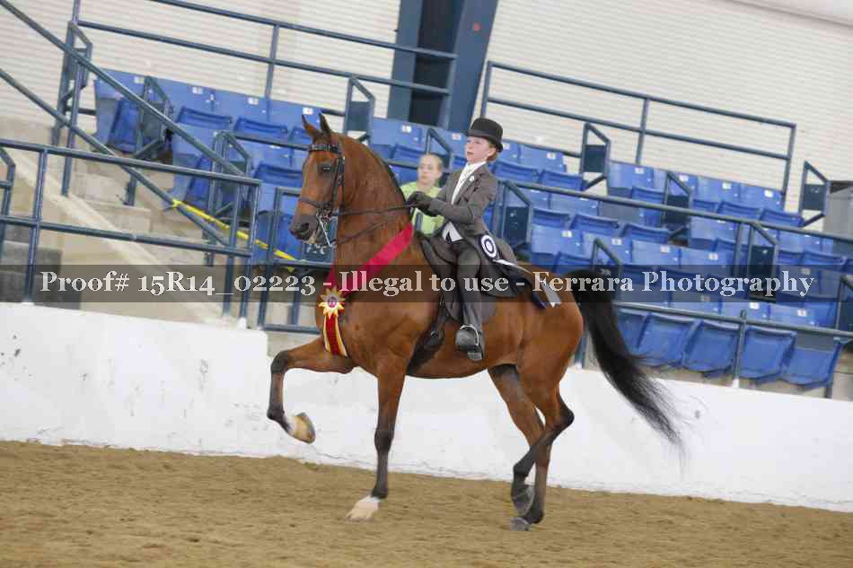 Proof Number 15R14_02223