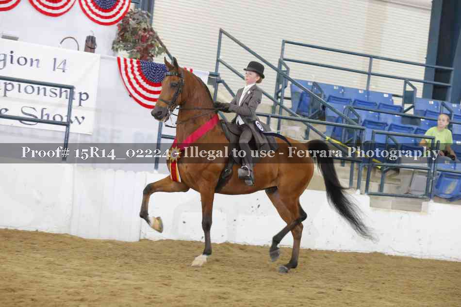 Proof Number 15R14_02224