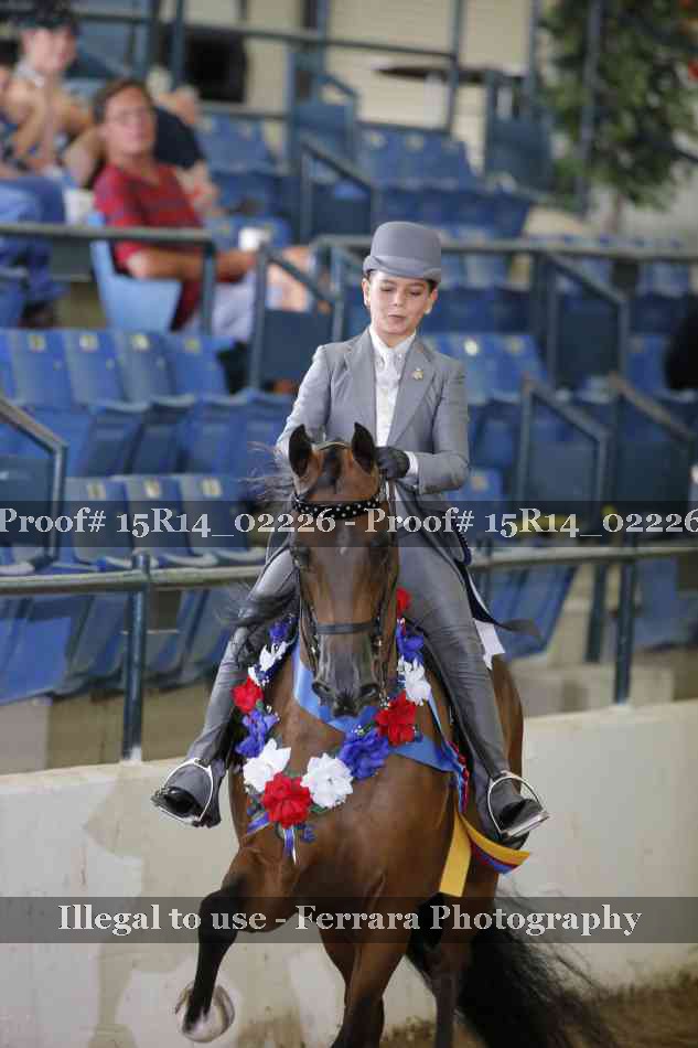 Proof Number 15R14_02226