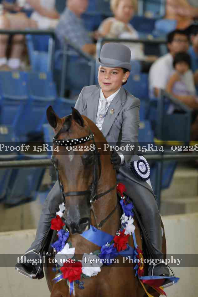 Proof Number 15R14_02228