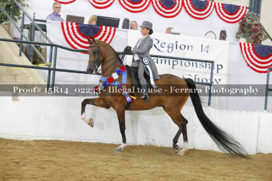 Proof Number 15R14_02233
