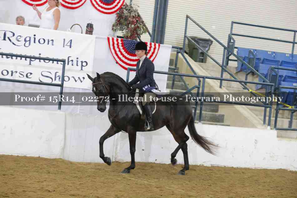 Proof Number 15R14_02272