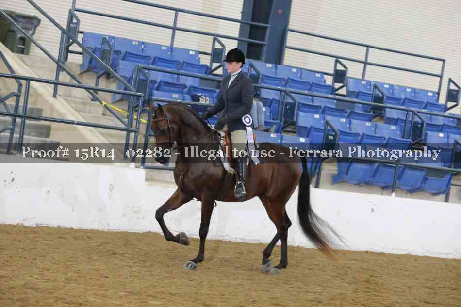Proof Number 15R14_02282