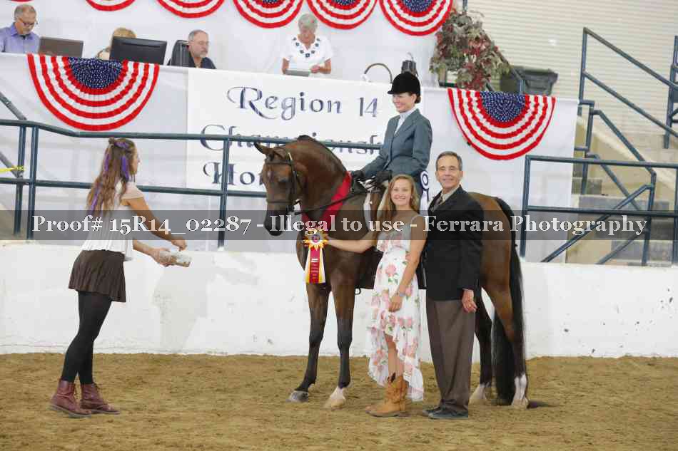 Proof Number 15R14_02287
