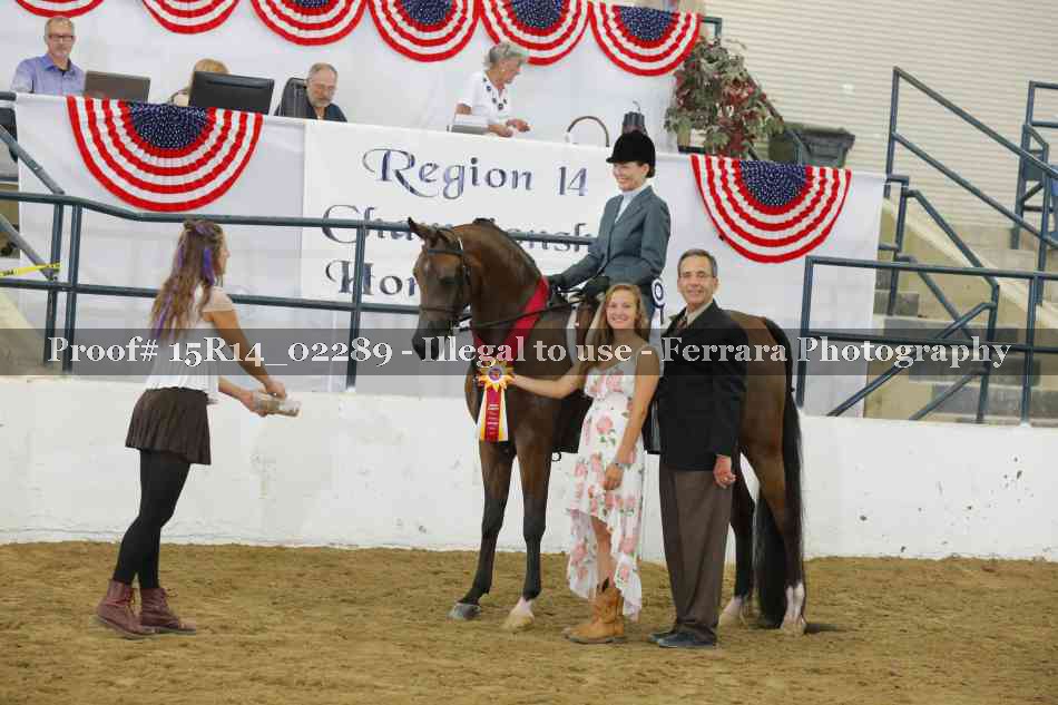 Proof Number 15R14_02289