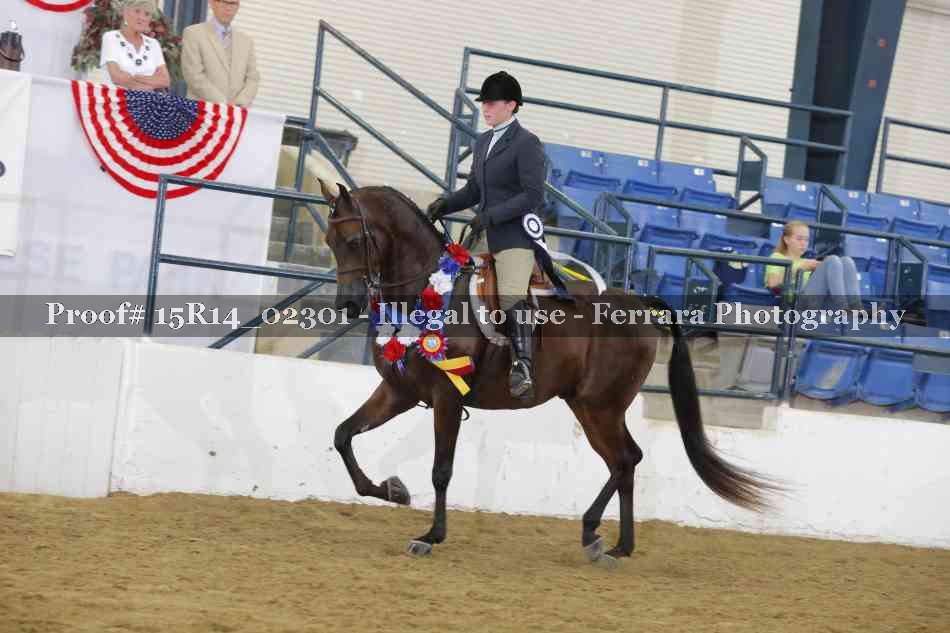 Proof Number 15R14_02301