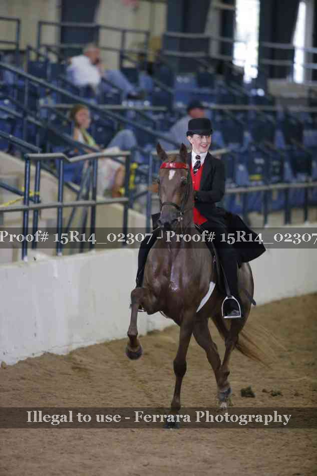 Proof Number 15R14_02307