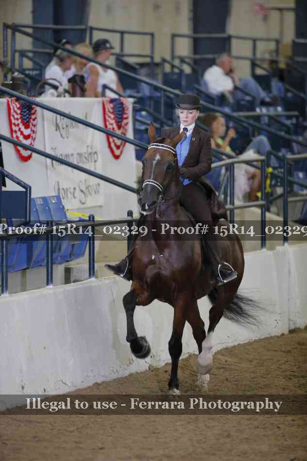 Proof Number 15R14_02329