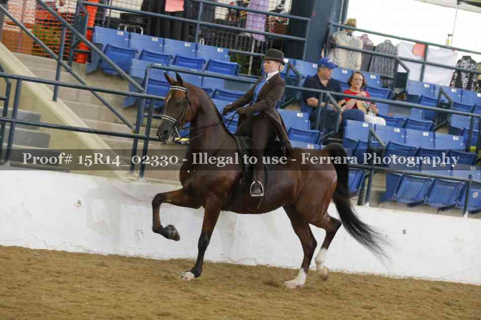 Proof Number 15R14_02330