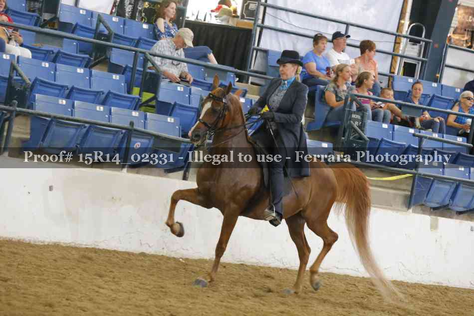 Proof Number 15R14_02331