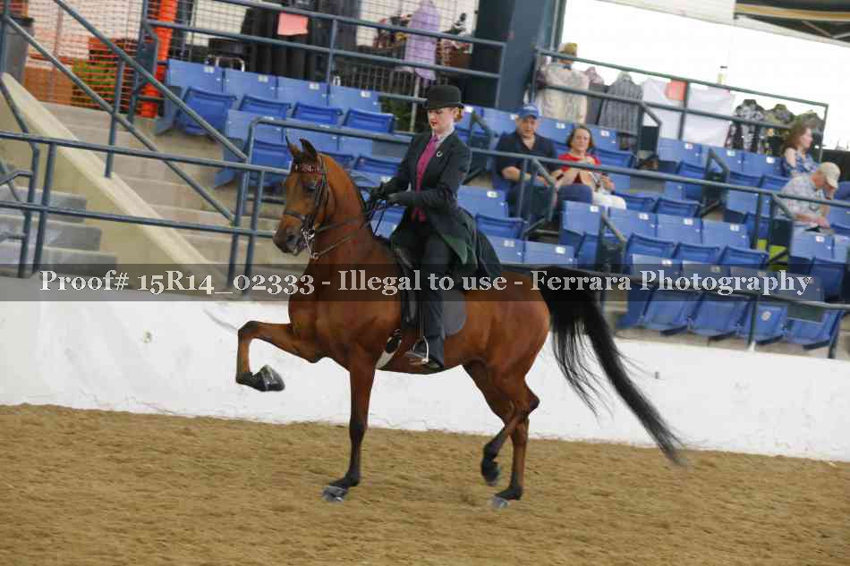 Proof Number 15R14_02333