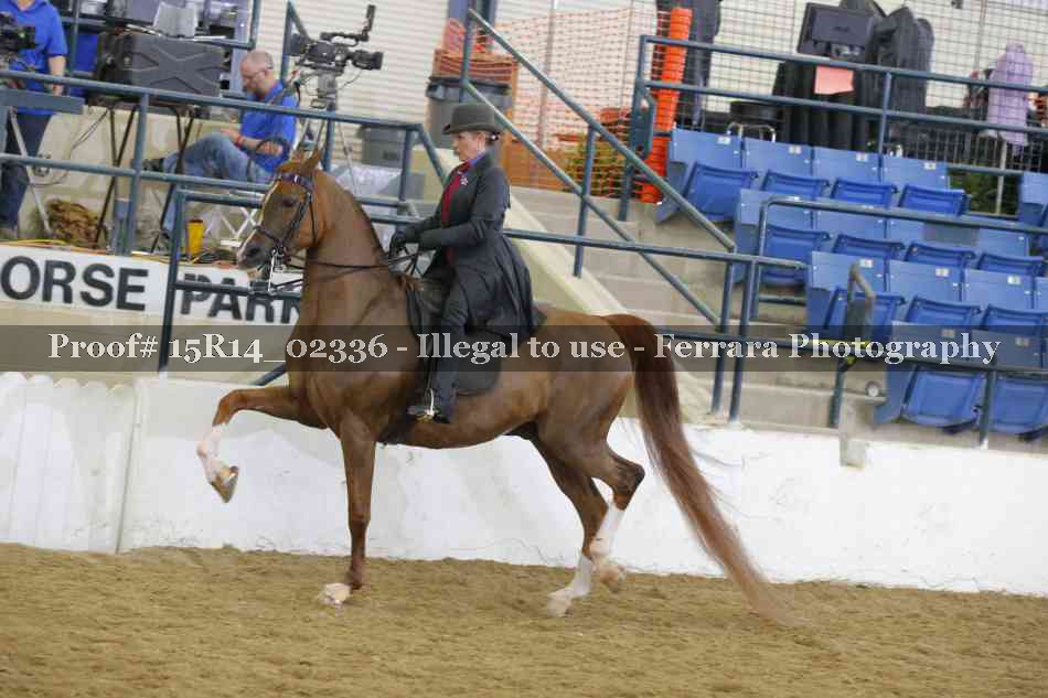 Proof Number 15R14_02336